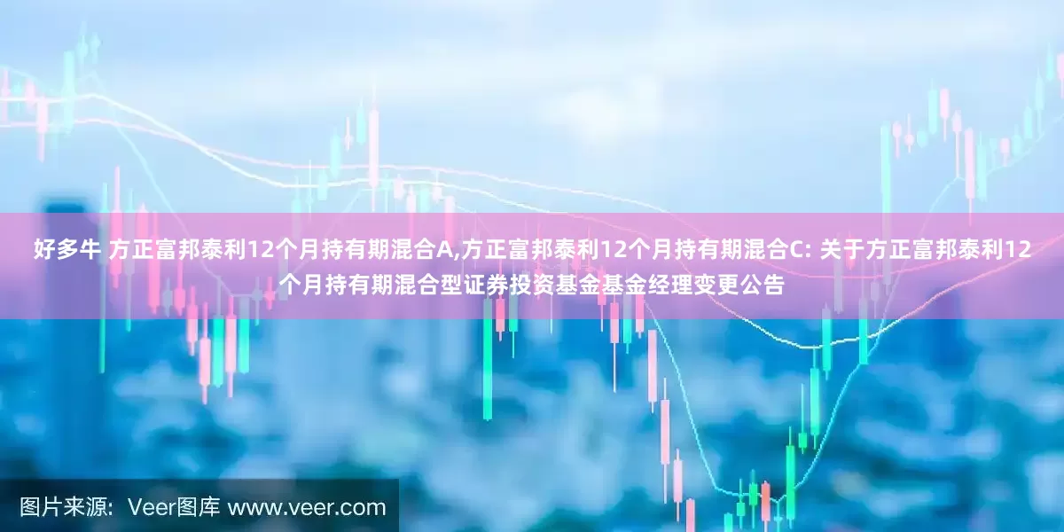 好多牛 方正富邦泰利12个月持有期混合A,方正富邦泰利12个月持有期混合C: 关于方正富邦泰利12个月持有期混合型证券投资基金基金经理变更公告