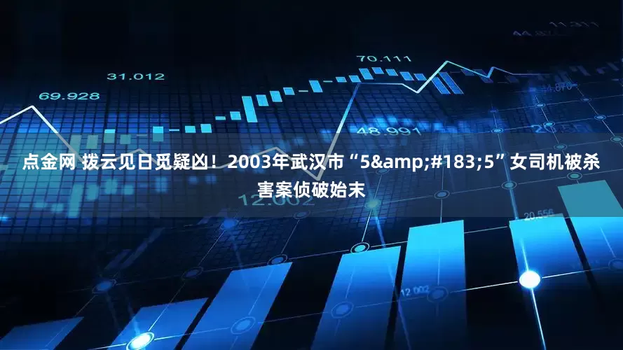点金网 拨云见日觅疑凶！2003年武汉市“5&#183;5”女司机被杀害案侦破始末