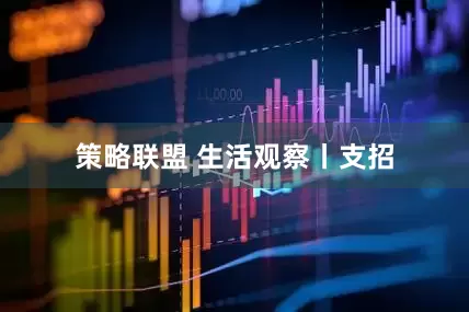 策略联盟 生活观察丨支招